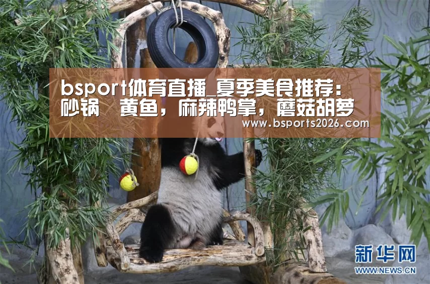 b sports官网