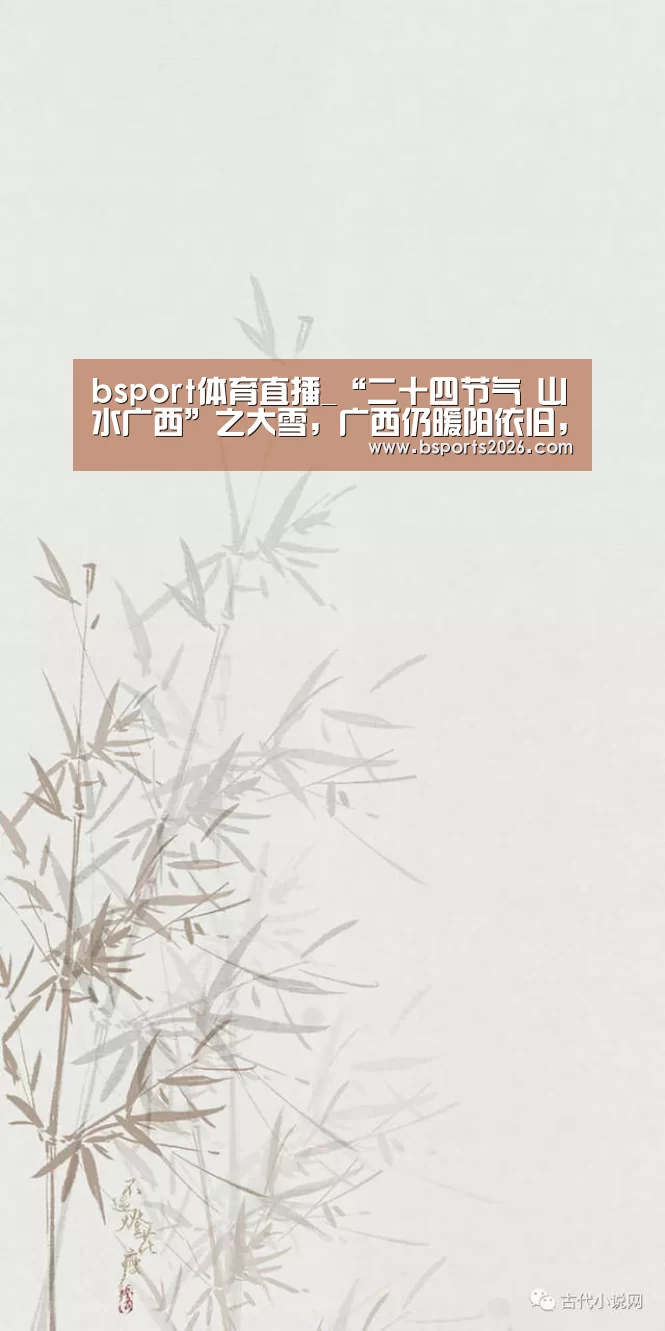 b sports官网
