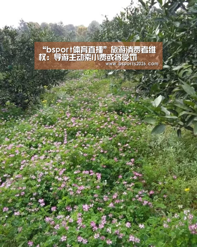 “bsport体育直播”旅游消费者维权:导游主动索小费或将受罚(图2) bsport体育直播