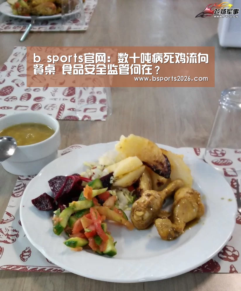 b sports官网:数十吨病死鸡流向餐桌 食品安全监管何在?(图1) bsport体育