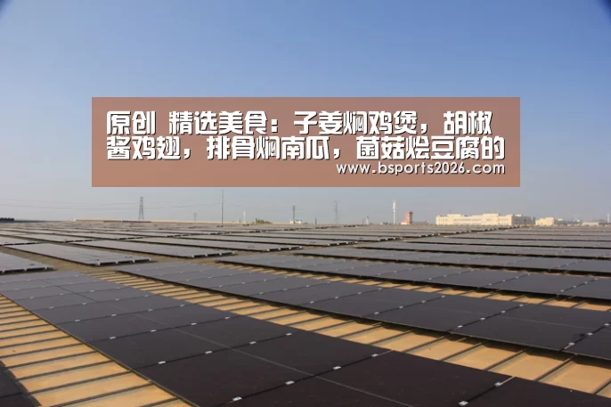 原创 精选美食:子姜焖鸡煲,胡椒酱鸡翅,排骨焖南瓜,菌菇烩豆腐的做法“bsport体育直播”(图1) bsport体育官网