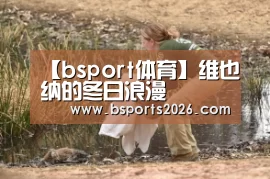 【bsport体育】维也纳的冬日浪漫(图4) bsport体育官网