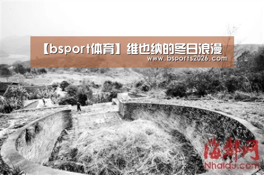 【bsport体育】维也纳的冬日浪漫(图2) bsport体育直播