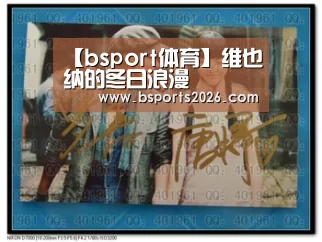 【bsport体育】维也纳的冬日浪漫(图3) b sports官网