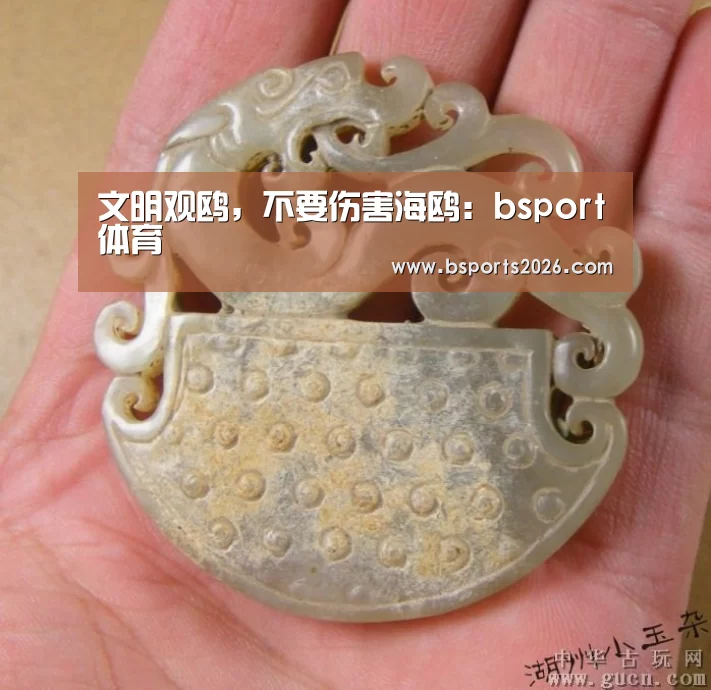 文明观鸥,不要伤害海鸥:bsport体育(图1) bsport体育直播