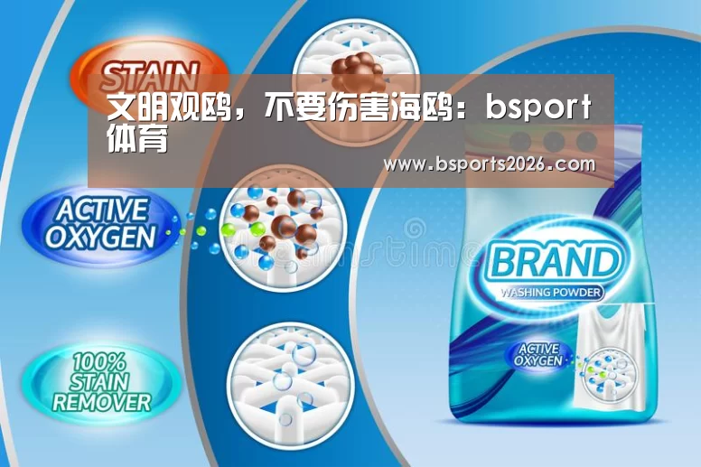 文明观鸥,不要伤害海鸥:bsport体育(图4) bsport体育官网