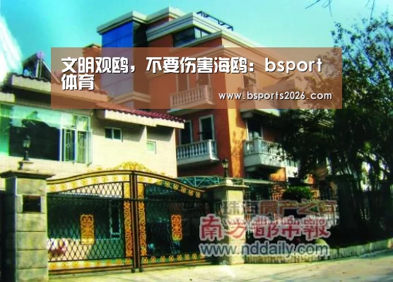 文明观鸥,不要伤害海鸥:bsport体育(图2) bsport体育